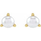 Tiny 14K Yellow Gold Cultured White Seed Pearl Earrings size 2.5 mm